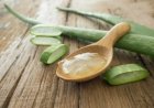 Benefícios da aloe vera para a saúde