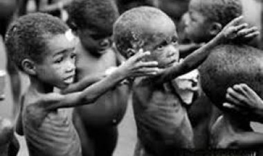 Brasil e o Fantasma da Pobreza Extrema