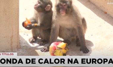 Confira as principais notícias  internacionais da tarde do dia 03-07-2022 na integra através do EURONEWS