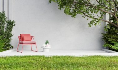 Aprenda a cuidar da sua casa e jardim