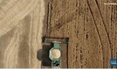 Acordo entre a Ucrânia e a Rússia para a exportação dos cereais