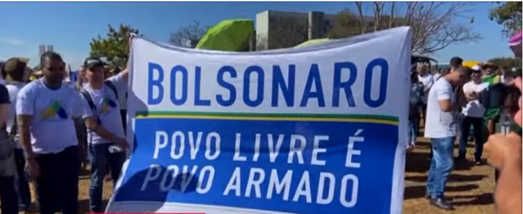 Grupo realiza manifestação pró armas em Brasília