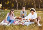 18 de junho: Dia Internacional do Piquenique 