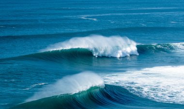 Por um oceano de sustentabilidade