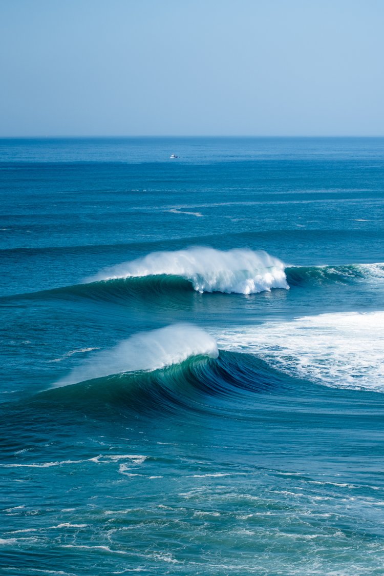 Por um oceano de sustentabilidade